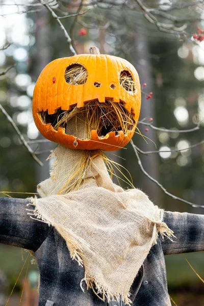 Halloween tök madárijesztő természetes háttér — Stock Fotó