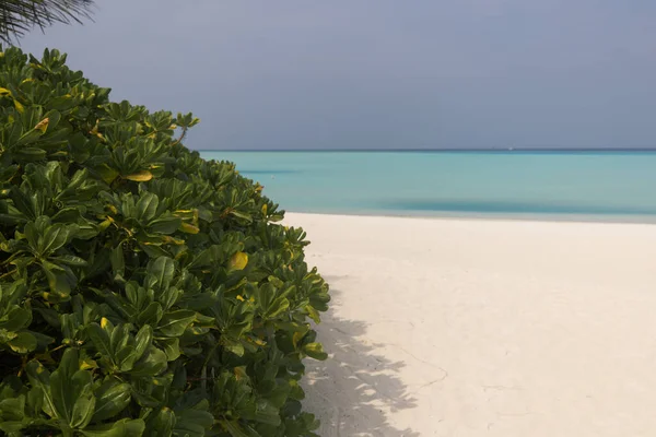 Splendida spiaggia alle Maldive. Ora del giorno Immagini Stock Royalty Free