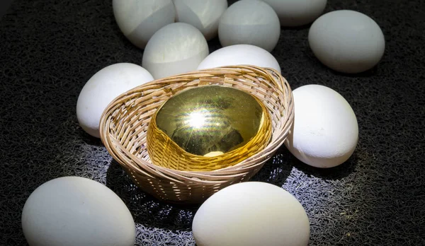 Golden Egg Normal White Eggs Investment Concept — Foto de Stock