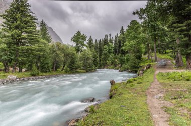 Taze su ve ağaçlarla yeşil vadi manzarası.