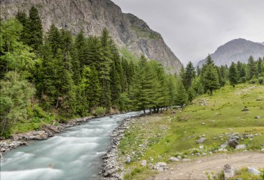 Tatlı suyla kayalık dağlar ve bir manzara oluşturan ağaçlar.