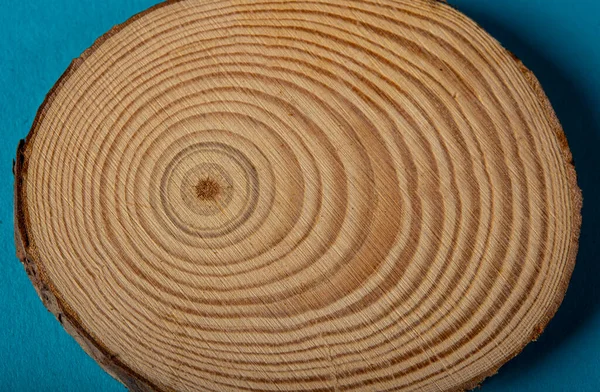 Грубый Вид Органическая Текстура Древесных Колец Крупным Планом — стоковое фото
