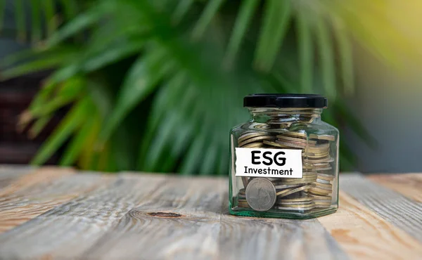 Environmental, Social, and Governance ESG Investment model concept with coins and green background.