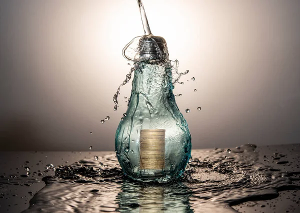 Schützen Sie Ihr Anlagekonzept Mit Glühbirne Und Wasser Außerhalb Der — Stockfoto