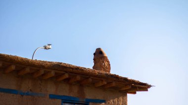 Evin çatısında güzel bir kuş