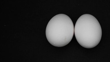 Siyah arka planda beyaz tavuk yumurtası