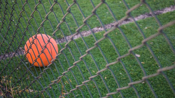 Теннисный Мяч Траве — стоковое фото