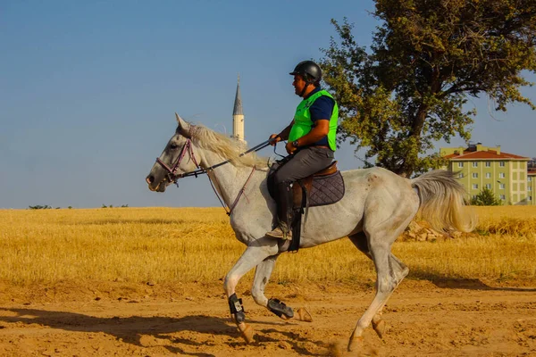 Personnes Cheval Dans Champ — Photo