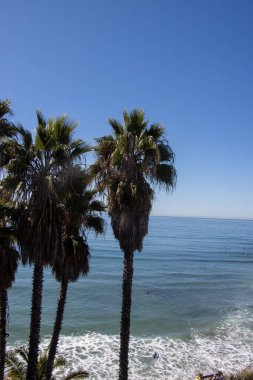San Diego 'da Swamis' te sörf.