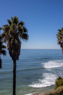 San Diego 'da Swamis' te sörf.