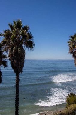 San Diego 'da Swamis' te sörf.