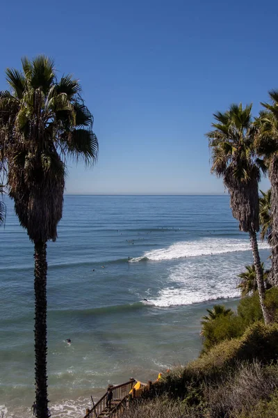 Surf Swamis San Diego — Foto de Stock