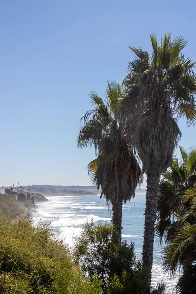 Surfen Bij Swamis San Diego — Stockfoto