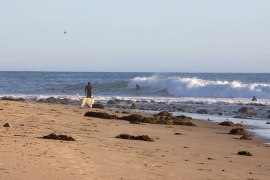 Califronia 'da Sörf Noktası