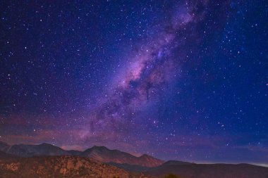 Kaliforniya 'daki Carpinteria Kuş Sığınağı' nı ziyaret ediyorum.