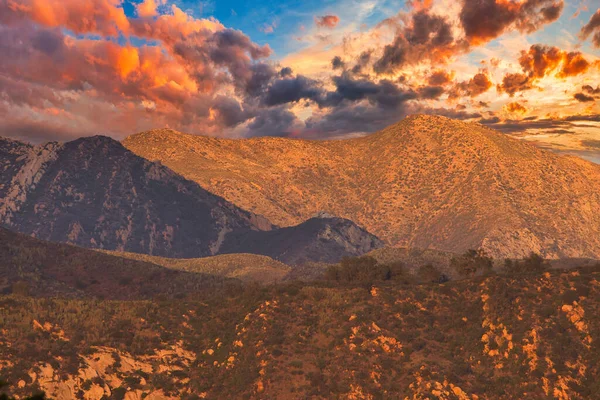 Επίσκεψη Στο Καταφύγιο Πουλιών Carpinteria Στην Καλιφόρνια — Φωτογραφία Αρχείου