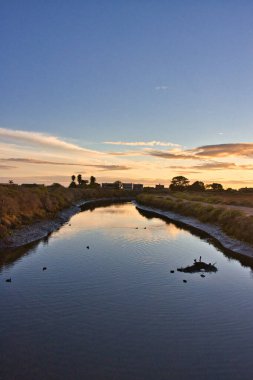 Kaliforniya 'daki Carpinteria Kuş Sığınağı' nı ziyaret ediyorum.