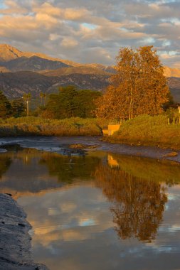 Kaliforniya 'daki Carpinteria Kuş Sığınağı' nı ziyaret ediyorum.