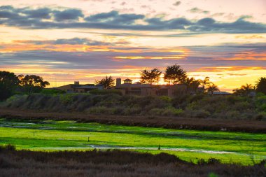 Kaliforniya 'daki Carpinteria kuş barınağını araştırıyorum.