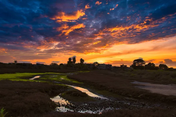 Het Verkennen Van Carpinteria Vogel Toevlucht Californië — Stockfoto