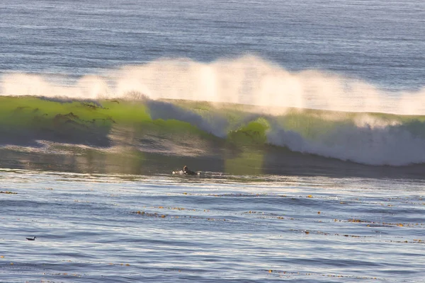 Surfeando Autopista Costa Vieja Ventura California — Foto de Stock