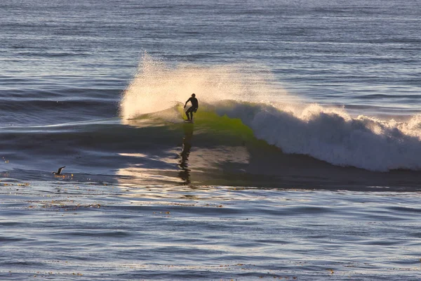 Surfeando Autopista Costa Vieja Ventura California —  Fotos de Stock