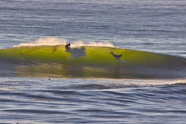 Surfen Old Coast Highway Ventura California — Stockfoto