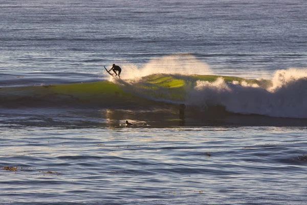 Surfeando Autopista Costa Vieja Ventura California — Foto de Stock