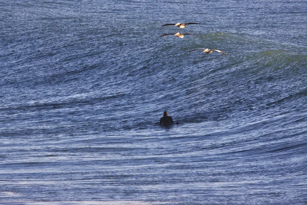 Surf Sulla Old Coast Highway Ventura California — Foto Stock