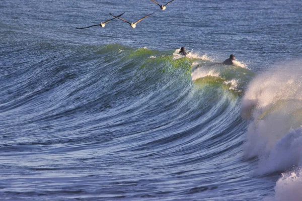 Surfen Auf Dem Old Coast Highway Ventura Kalifornien — Stockfoto