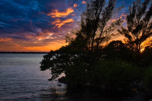 Вид Індіанську Річку Внутрішній Водний Шлях Індіанській Флориді — стокове фото