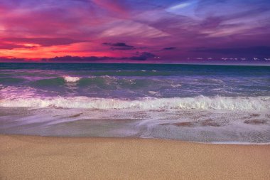 Sebastian Inlet Eyalet Parkı Florida 'daki İspanyol Evi' nde terk edilmiş plajlar.
