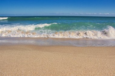 Sebastian Inlet Eyalet Parkı Florida 'daki İspanyol Evi' nde terk edilmiş plajlar.