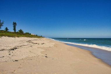 Sebastian Inlet Eyalet Parkı Florida 'daki İspanyol Evi' nde terk edilmiş plajlar.