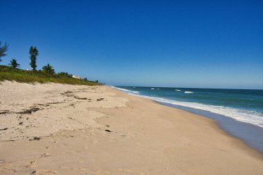 Sebastian Inlet Eyalet Parkı Florida 'daki İspanyol Evi' nde terk edilmiş plajlar.
