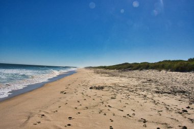 Sebastian Inlet Eyalet Parkı Florida 'daki İspanyol Evi' nde terk edilmiş plajlar.