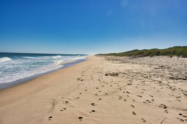 Sebastian Inlet Eyalet Parkı Florida 'daki İspanyol Evi' nde terk edilmiş plajlar.