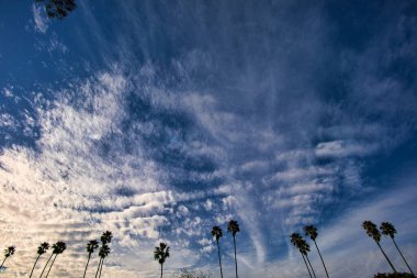 Mesa 'dan Santa Barbara manzarası