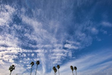 Mesa 'dan Santa Barbara manzarası