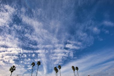 Mesa 'dan Santa Barbara manzarası