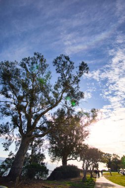 Mesa 'dan Santa Barbara manzarası