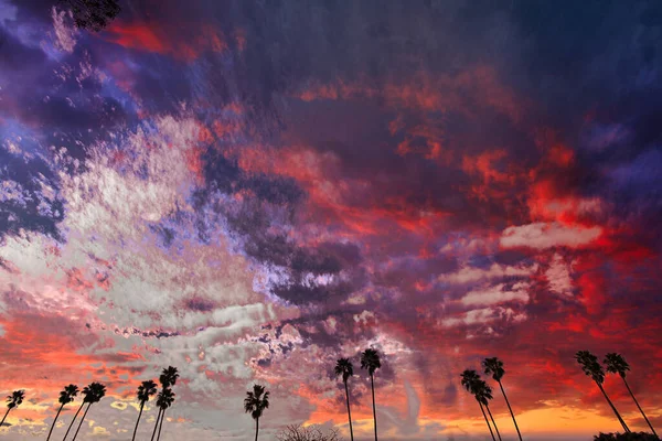 Views Santa Barbara Mesa — Stock Photo, Image