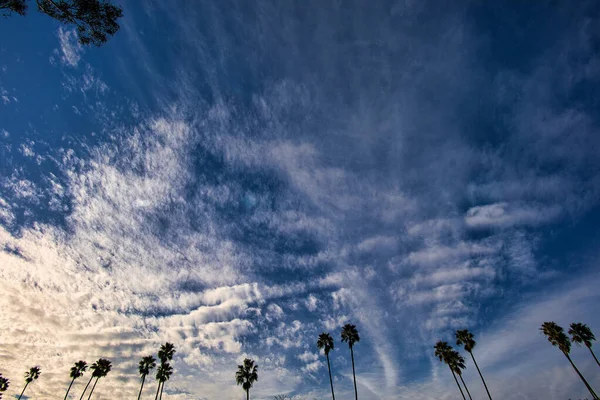Mesa 'dan Santa Barbara manzarası