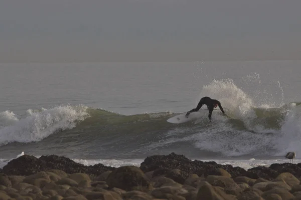 Surfing Gelombang Musim Dingin Titik Rincon California — Stok Foto