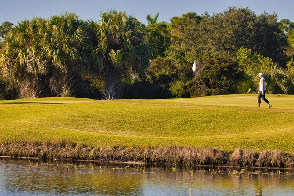 Wild Birds Stuart Florida Golf Course — Stock Photo, Image
