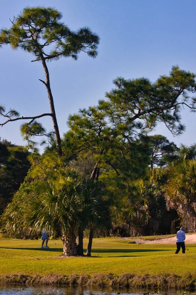 Vilda Fåglar Stuart Florida Golfbana — Stockfoto