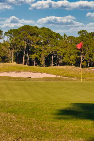 Wild Birds Stuart Florida Golf Course — Stock Photo, Image