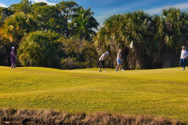 Wild Birds Stuart Florida Golf Course — Stock Photo, Image