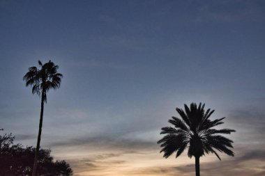 Florida 'daki The Villages' da açık hava konseri