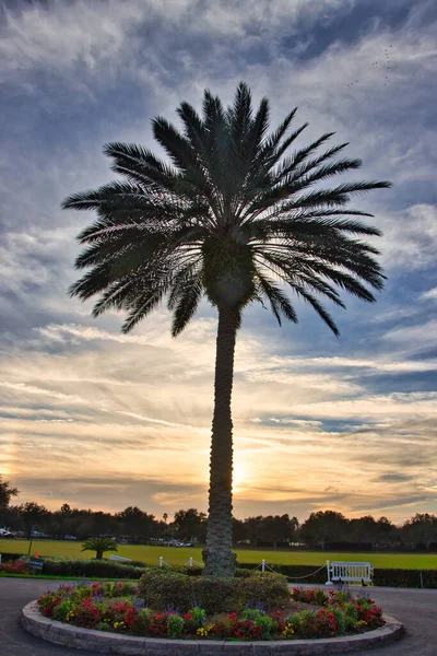 Outdoor Concert Villages Florida — Stock Photo, Image